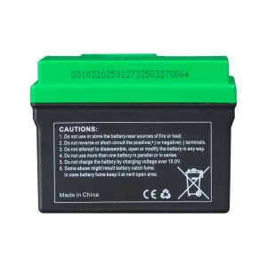 Аккумулятор FUBAG li-ion 3Ah для инверторного генератора TI 11000 A ES (арт. 646211) купить в Омске